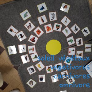 8f200ab6 d95b 410c af25 ae2b4c78f0a8
